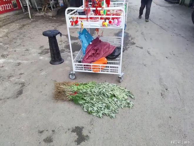 假期最不能做的5件事别忘了告诉家人AG真人旗舰厅不是迷信！端午三天(图2)