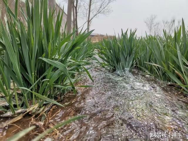 假期最不能做的5件事别忘了告诉家人AG真人旗舰厅不是迷信！端午三天(图4)